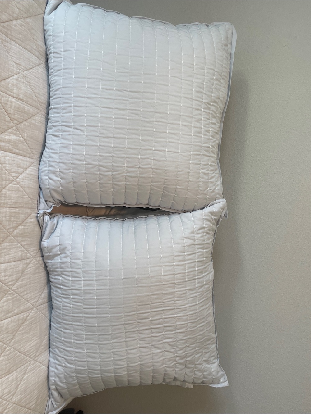 Target Light Gray Euro Covers Pair